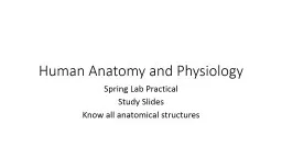  Human Anatomy and Physiology