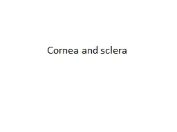   Cornea and sclera cornea