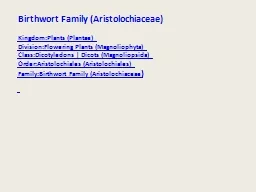 Birthwort Family ( Aristolochiaceae