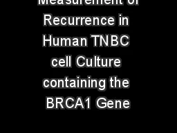  Measurement of Recurrence in Human TNBC cell Culture containing the BRCA1 Gene