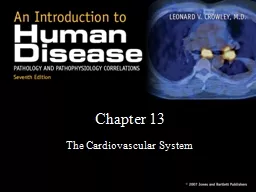  Chapter 13 The Cardiovascular System