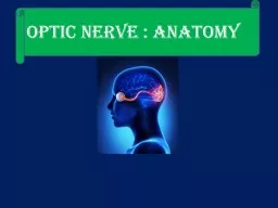  OPTIC NERVE : ANATOMY Embryology of optic nerve