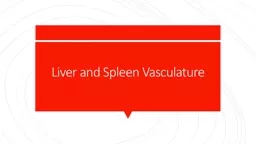  Liver and Spleen Vasculature