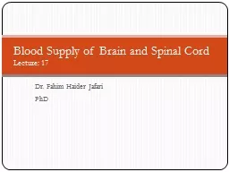  Dr. Fahim Haider Jafari PhD