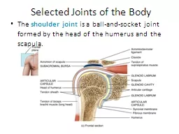  Selected Joints of the Body