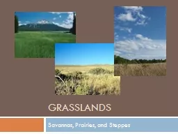  Grasslands Savannas, Prairies, and Steppes