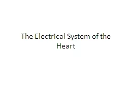  The Electrical System of the Heart