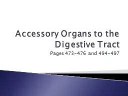  Accessory Organs to the Digestive Tract