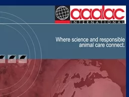  What is  AAALAC International?