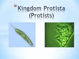  Kingdom Protista  ( Protists