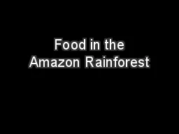  Food in the Amazon Rainforest