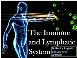  The Immune and Lymphatic System 