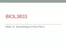  BIOL3833 Week 14:  Neurobiology of Vision Part 2