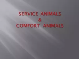  Service  Animals & Comfort animals