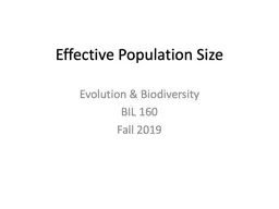  Effective Population Size