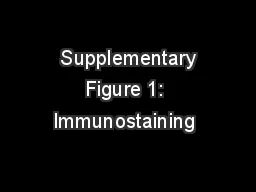  Supplementary Figure 1: Immunostaining 