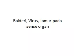  Bakteri , Virus,  Jamur  