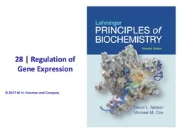  28 | Regulation of Gene Expression