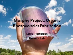  Murphy Project: Organic 
