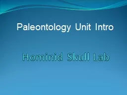  Hominid Skull Lab Paleontology Unit Intro