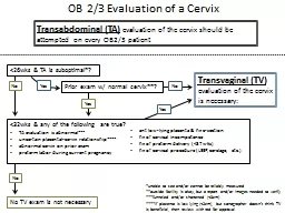  OB 2/3 Evaluation of a Cervix