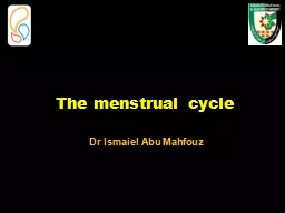  The menstrual  cycle                         