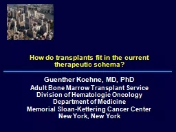  How do transplants fit in the current therapeutic schema?