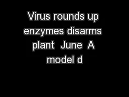 Virus rounds up enzymes disarms plant  June  A model d