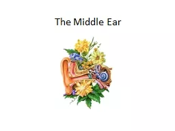 The Middle Ear  Middle ear Anatomy