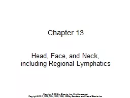 PPT-Chapter 13 Head, Face, and Neck,