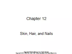 Chapter 12 Skin, Hair, and Nails