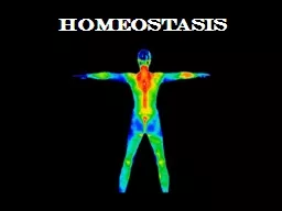 Homeostasis Homeostasis is like your home’s thermostat