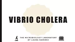 Vibrio cholera The Microbiology Laboratory