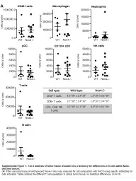 Cells/ g  tumor Macrophages