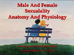 Male And Female Sexualality