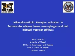 Mineralocorticoid  Receptor