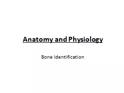 PPT-Anatomy and Physiology Bone Identification