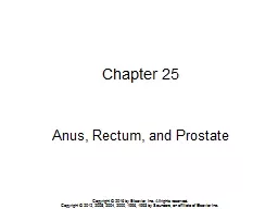 Chapter 25 Anus, Rectum, and Prostate