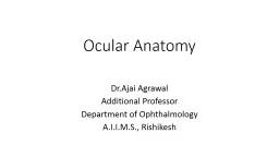 Ocular Anatomy Dr.Ajai Agrawal