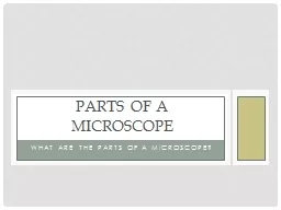 What are the parts of a microscope?