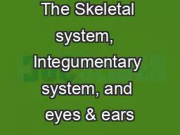 The Skeletal system,  Integumentary system, and eyes & ears