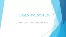 DIGESTIVE SYSTEM By  : CRISTINA , PAULA , MARTINA , ERIC , XAVIER , OSCAR .A.