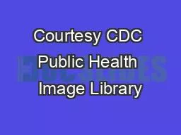 Courtesy CDC Public Health Image Library