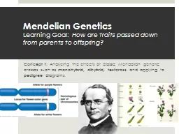 Mendelian  Genetics Learning Goal: