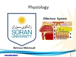 Physiology Behrouz   Mahmoudi