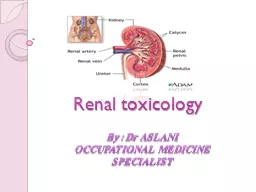 Renal toxicology By : Dr ASLANI
