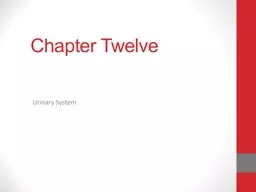 Chapter Twelve Urinary System