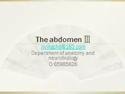 The abdomen Ⅲ liyingchd@163.com