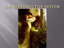 The Reproductive System Primary Sex Organs