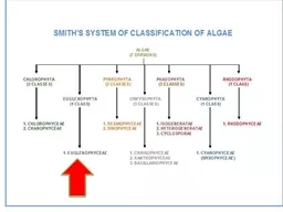 Division  Euglenophyta The principal Characteristics of the